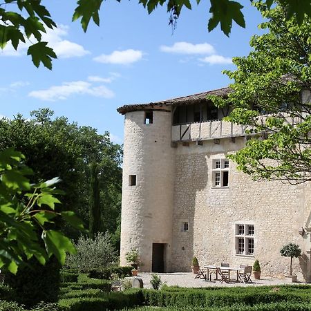 Chateau De Mayragues Castelnau-de-Montmiral Bagian luar foto