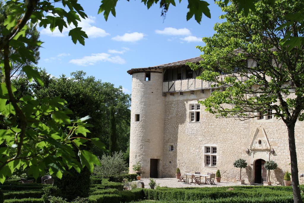 Chateau De Mayragues Castelnau-de-Montmiral Bagian luar foto