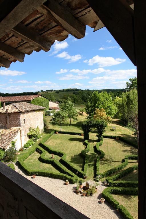 Chateau De Mayragues Castelnau-de-Montmiral Bagian luar foto