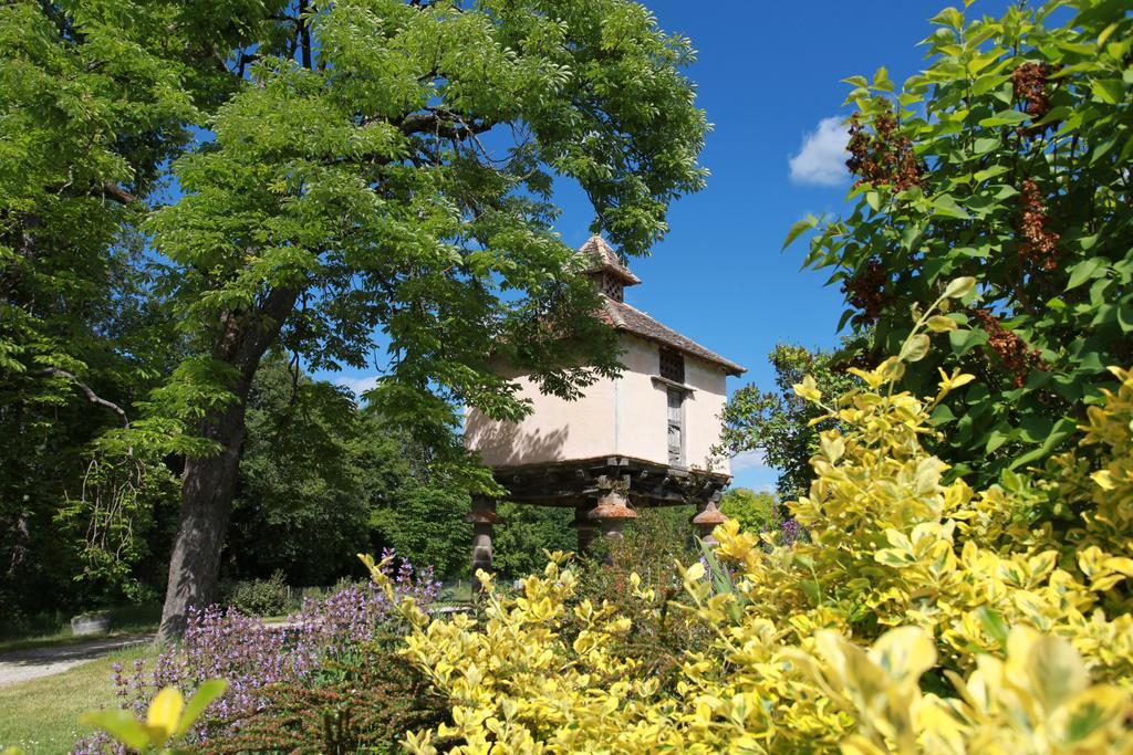 Chateau De Mayragues Castelnau-de-Montmiral Bagian luar foto