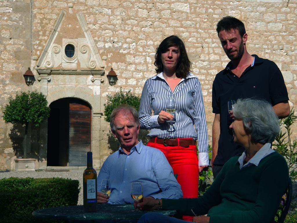 Chateau De Mayragues Castelnau-de-Montmiral Bagian luar foto