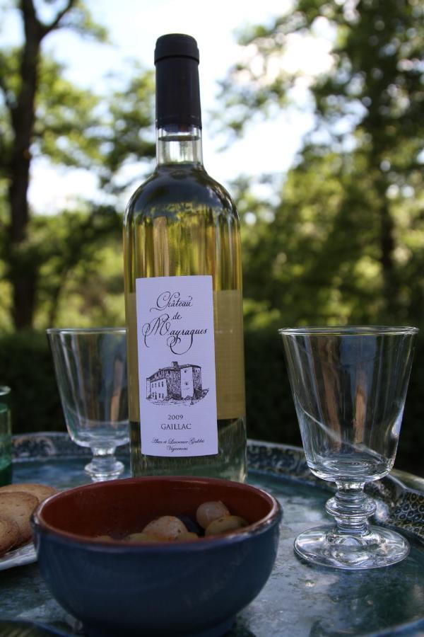 Chateau De Mayragues Castelnau-de-Montmiral Bagian luar foto